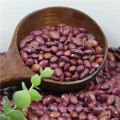 New crops 2017 Small Red Kidney Beans China of origin